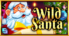Wild Santa