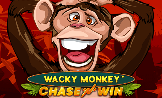 Wacky Monkey-Chase n Win main thumbnail